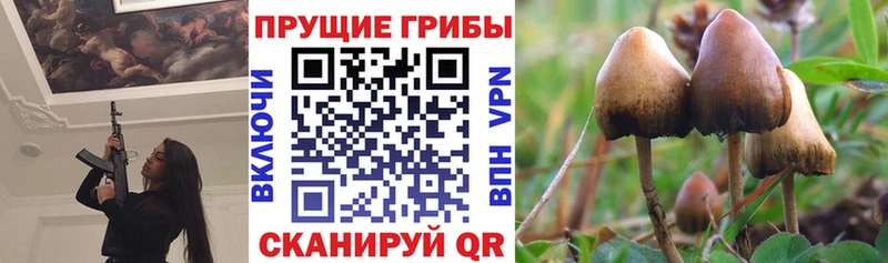 Псилоцибиновые грибы прущие грибы  купить закладку  Нижние Серги 